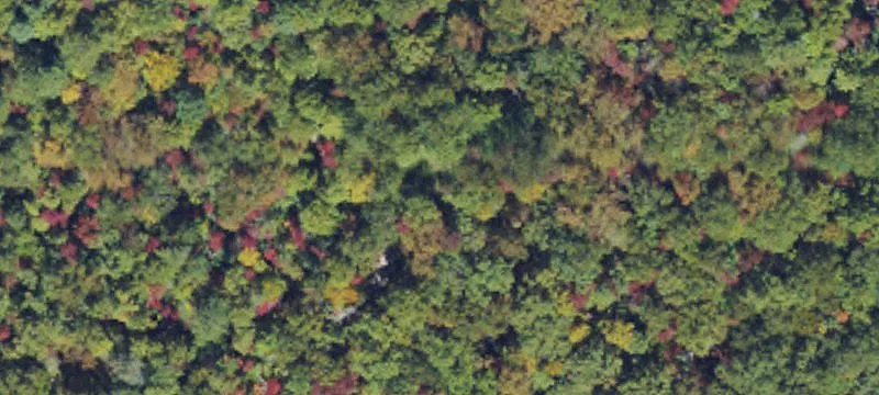 Mountain Land