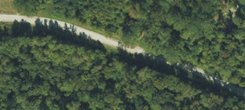 Unrestricted Wooded Land