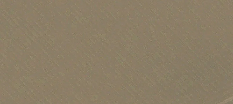 Irrigated Agricultural Land