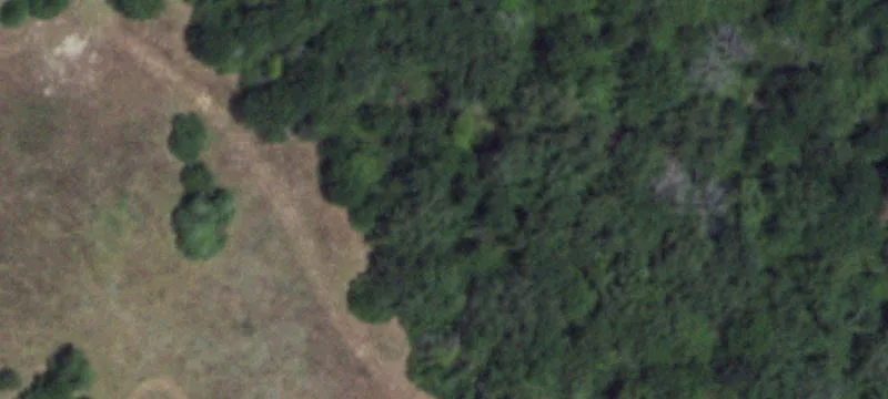 Agricultural Land with Ponds