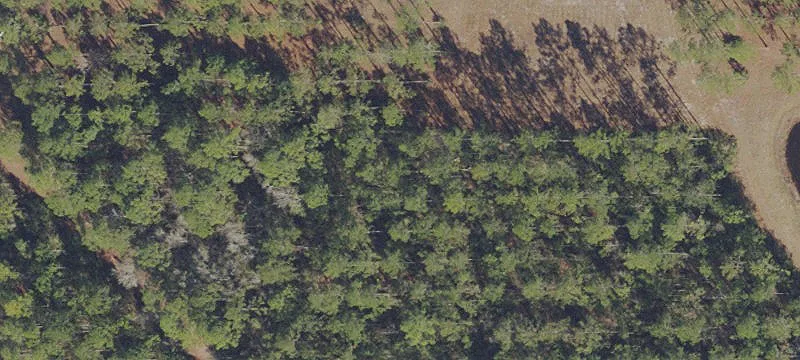 Unimproved Land