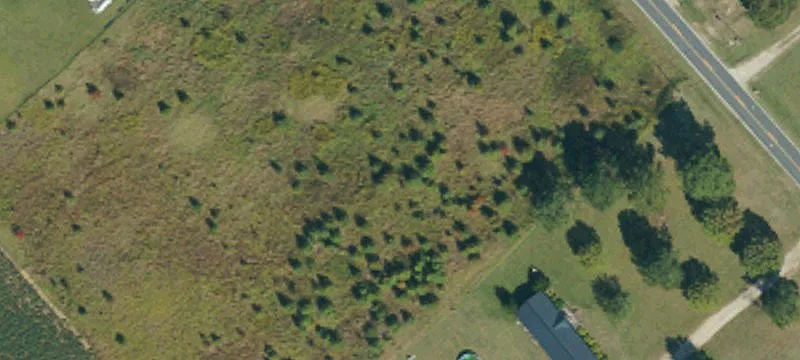 Land/Lot