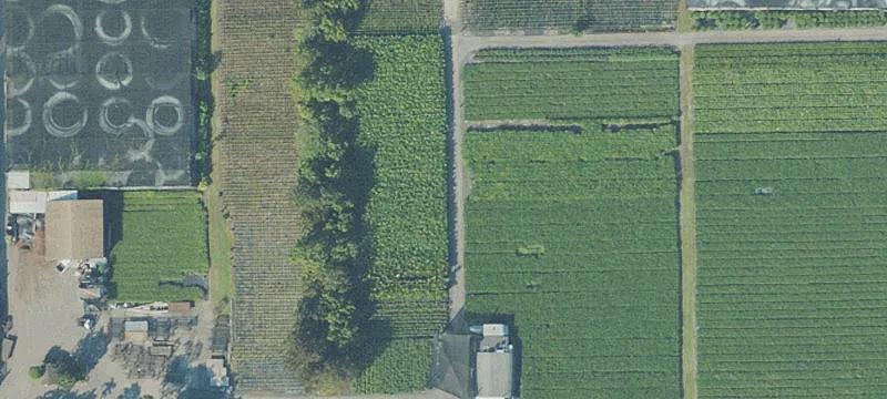 Agricultural Land Parcel