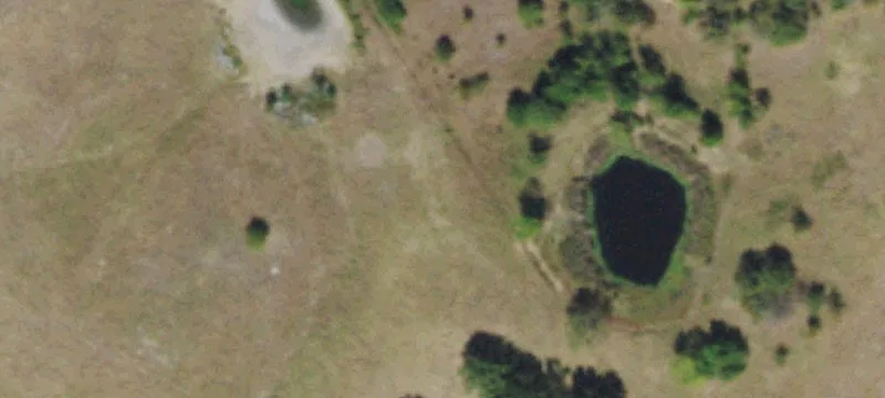 Pasture and Timber Agricultural Land