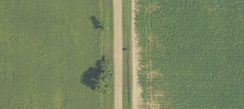 Wooded Acreage Parcel