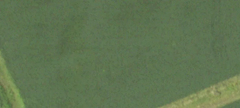 Agricultural Farmland Parcel