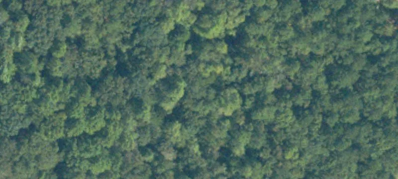 Land/Lot