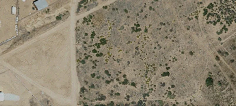 Land