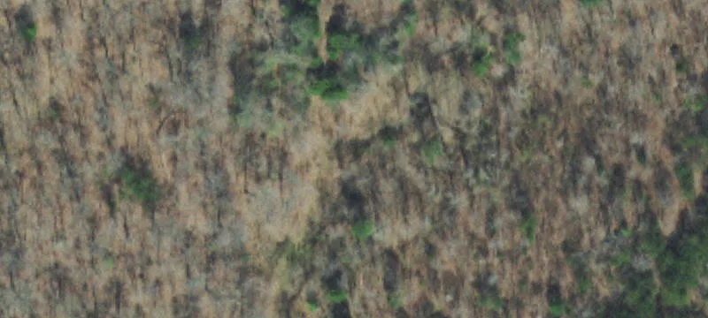 Wooded Residential Land