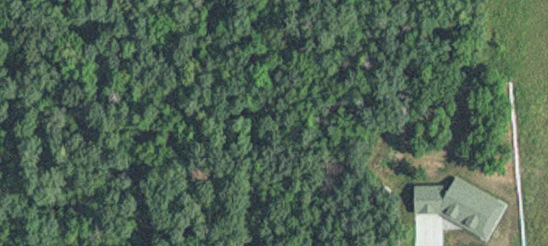 Wooded Land Tract