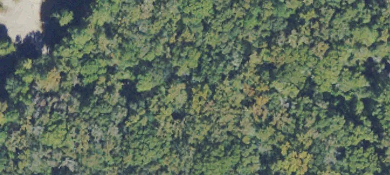Land/Lot