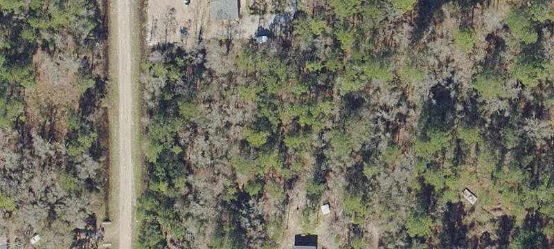 Wooded Land Parcel