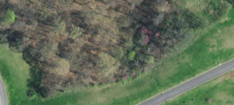 Land