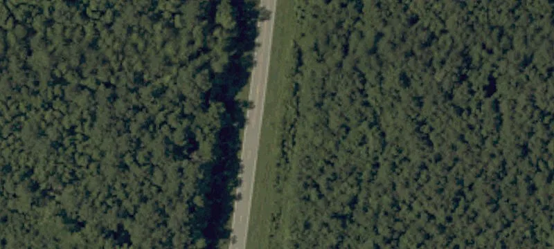 Wooded Land Parcel