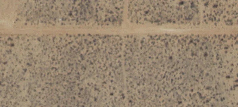Land