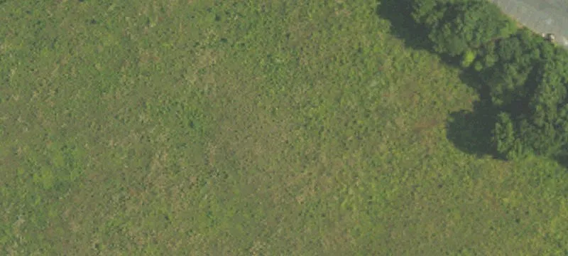 Unimproved Land