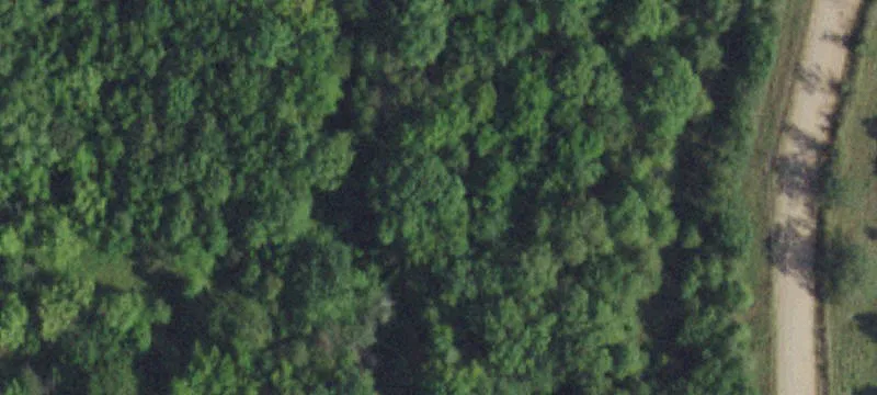 Wooded Hunting Land with Game Fencing
