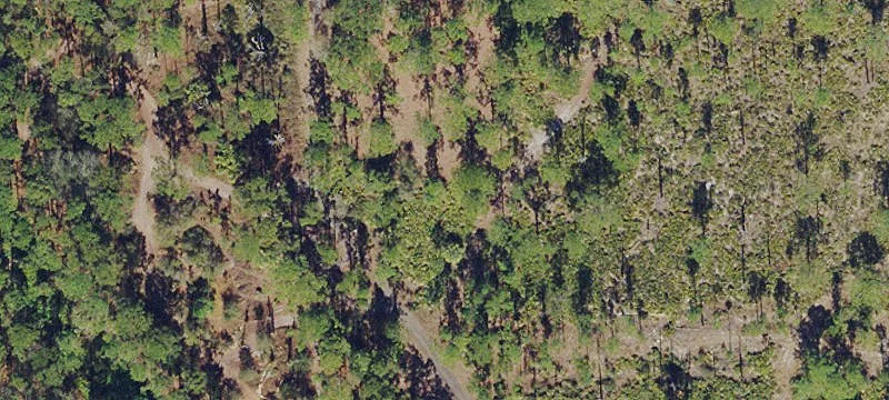 Land