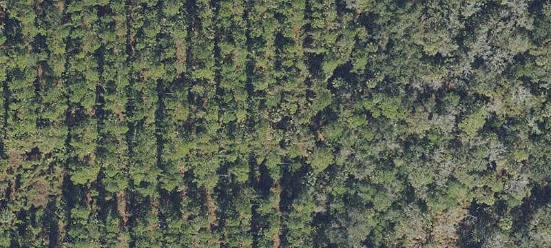 Agricultural Land with Easement Access