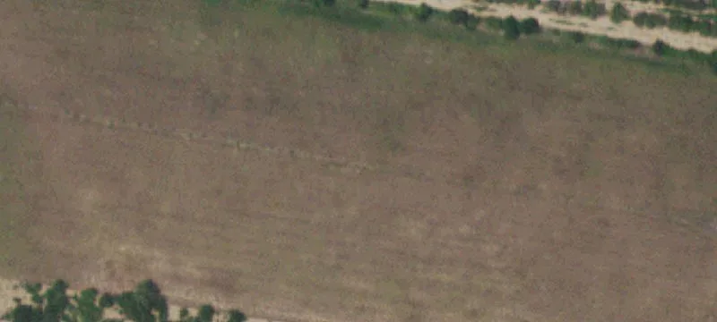 Maintained Citrus Farm