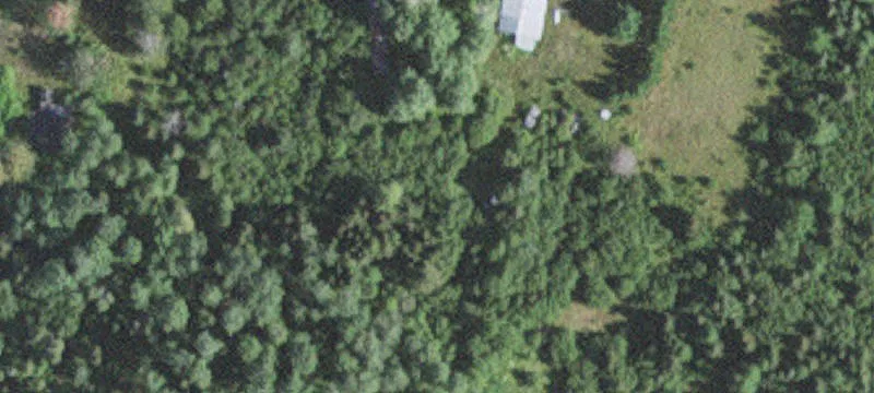 Wooded Recreation Land with Driveway