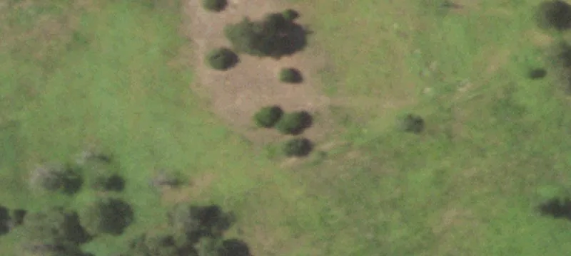 Farm & Ranch