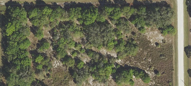 Corner Commercial Land