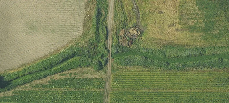 Two-Property Dairy Farm