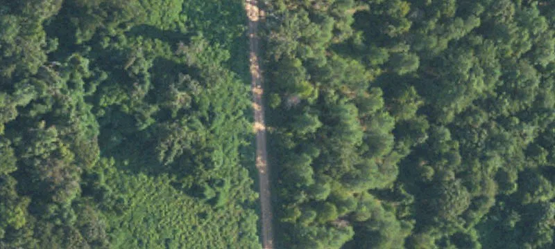 Hunting Land with Camp House