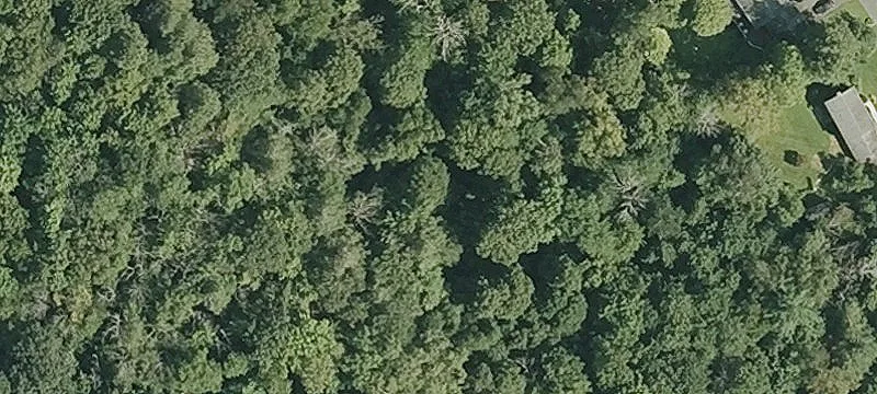 Land