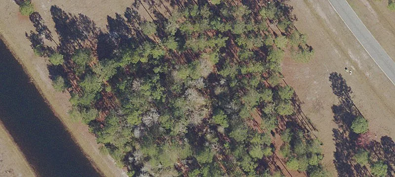 Unimproved Land