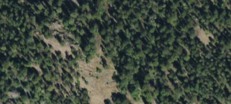 Riverfront Ranch with Trout Ponds