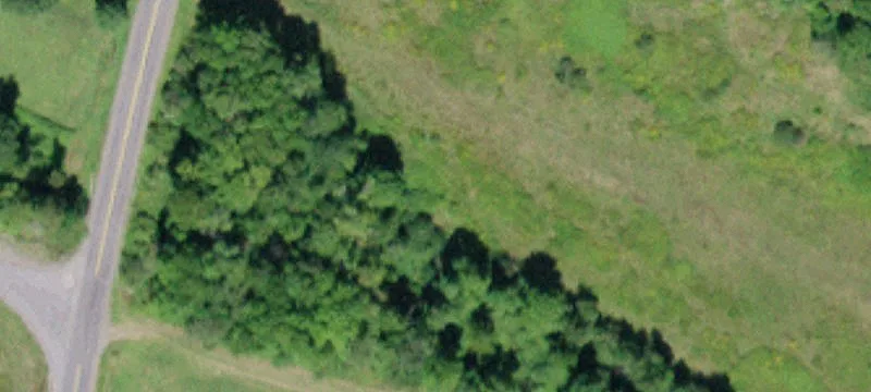 Unimproved Land
