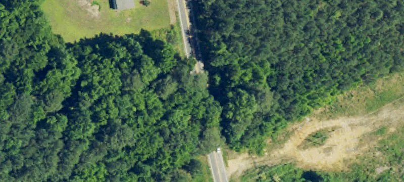 Wooded Agricultural Land