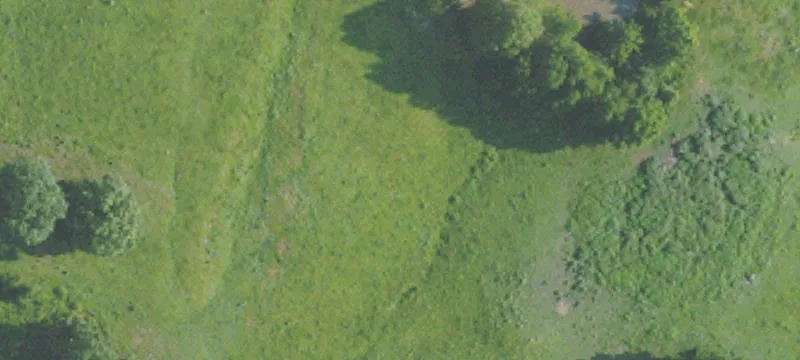 Wooded Land Tracts with Road Access