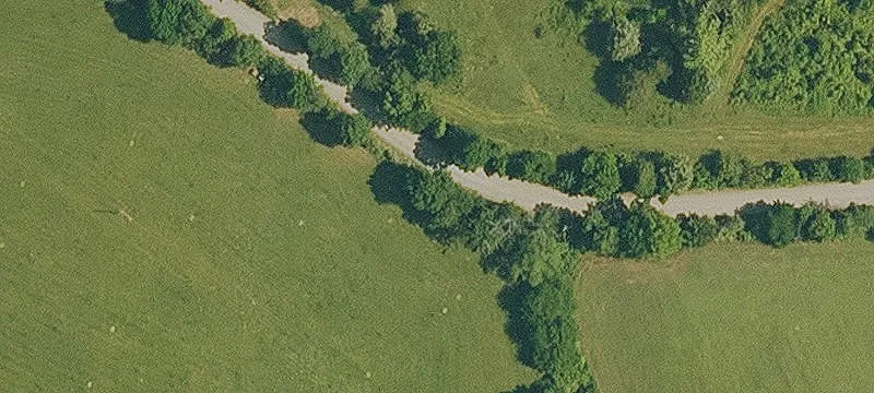 Timbered Land with Year-Round Creek