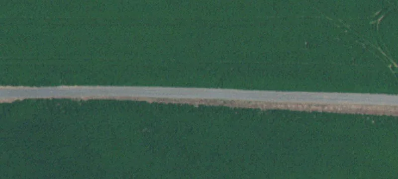 Farm with On-Site Grain Storage