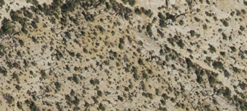 Waterfront Land with River Access
