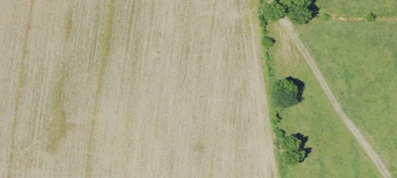 Agricultural Land with Pond