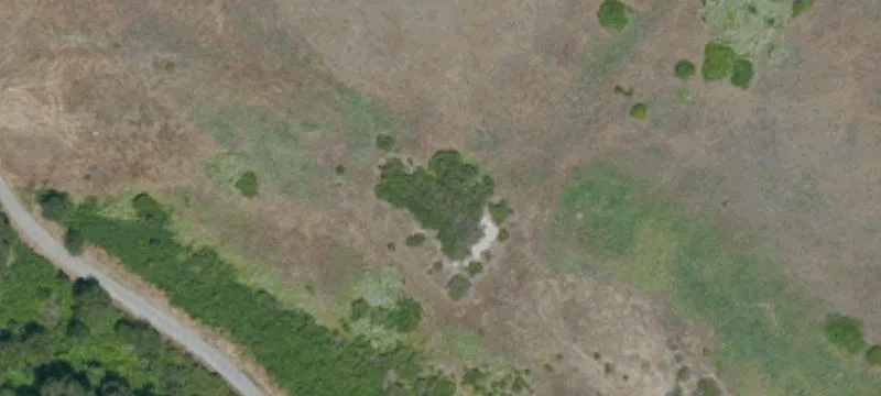 Farm and Ranch Properties
