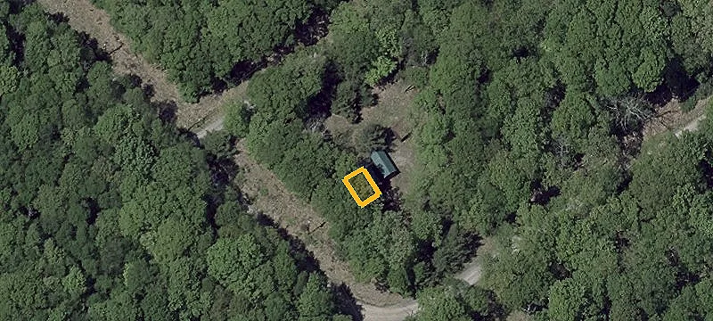 Wooded Land Parcel
