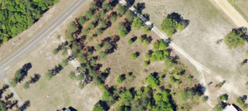 Hunting Land Along Savannah River Site