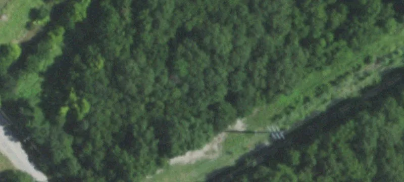 Forested Land Parcel