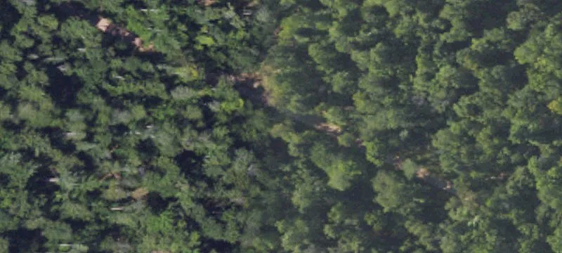 Wooded Land with Clearing