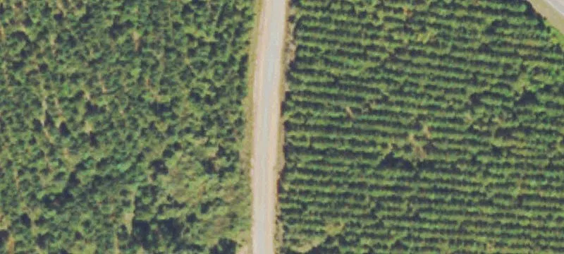 Land