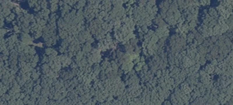 Hunting Land with Mobile Home