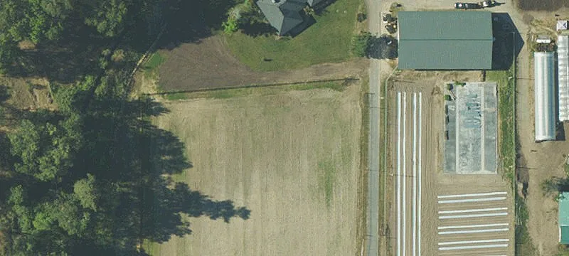 Cannabis Property with Existing Buildings