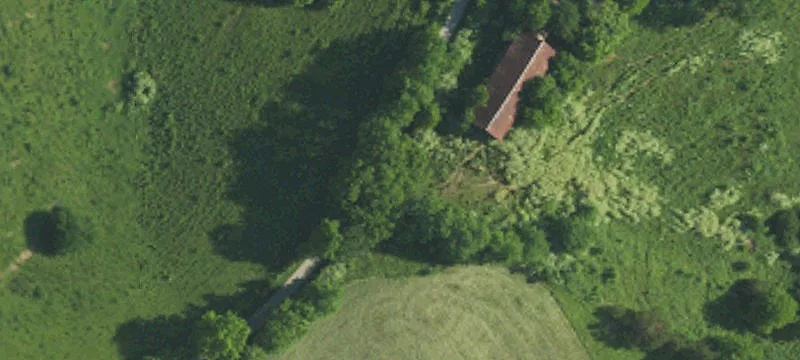 Fenced Bluegrass Farmland