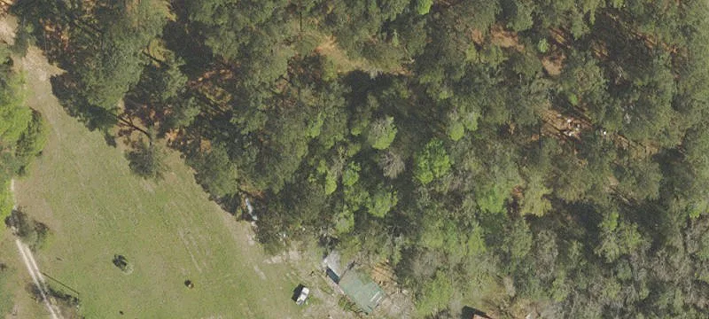 Wooded Acreage Land Tract