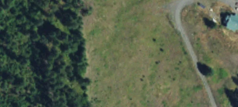 Private Hunting Land with Cabin